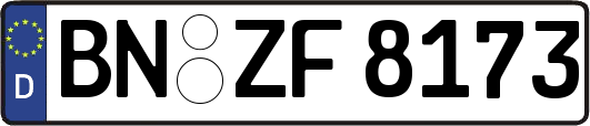 BN-ZF8173