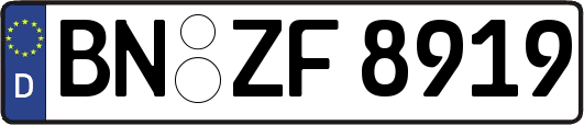 BN-ZF8919