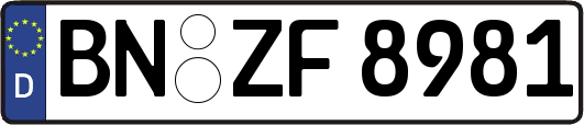 BN-ZF8981