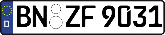 BN-ZF9031