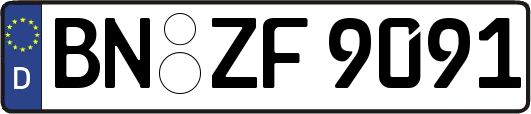 BN-ZF9091