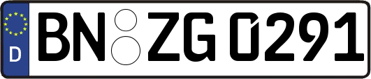 BN-ZG0291