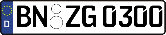 BN-ZG0300