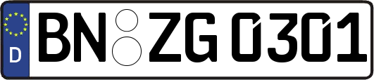 BN-ZG0301