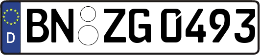 BN-ZG0493