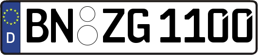BN-ZG1100