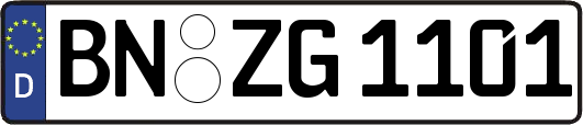 BN-ZG1101