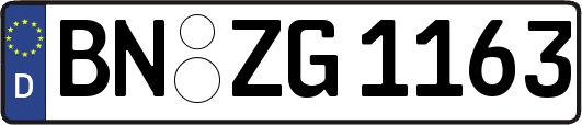 BN-ZG1163