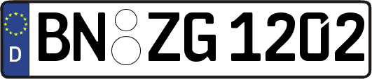 BN-ZG1202