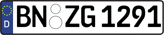 BN-ZG1291