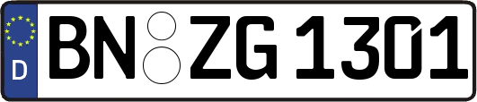 BN-ZG1301