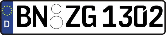 BN-ZG1302