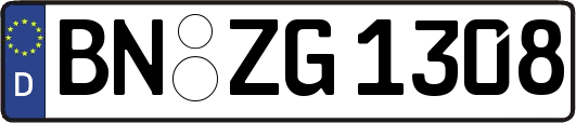 BN-ZG1308