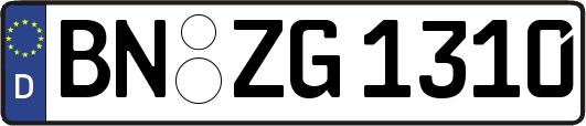 BN-ZG1310