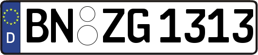 BN-ZG1313