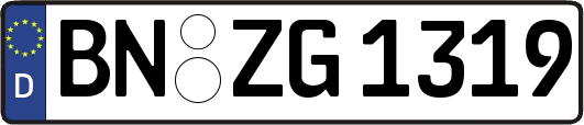 BN-ZG1319