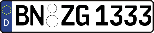 BN-ZG1333