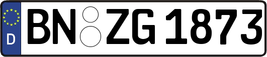 BN-ZG1873