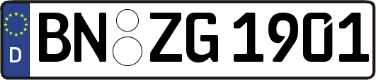 BN-ZG1901
