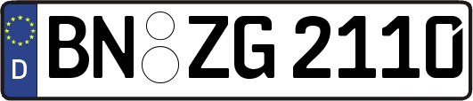BN-ZG2110