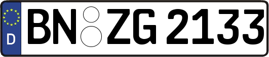 BN-ZG2133