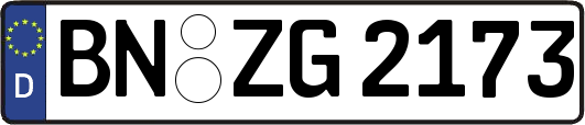 BN-ZG2173