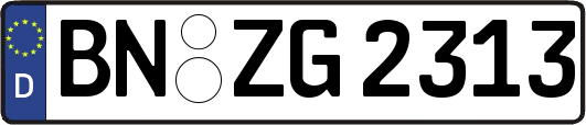 BN-ZG2313