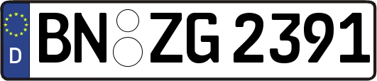 BN-ZG2391