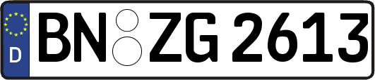 BN-ZG2613