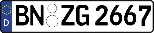 BN-ZG2667