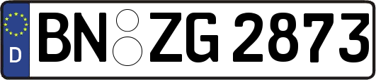 BN-ZG2873