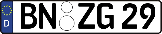 BN-ZG29