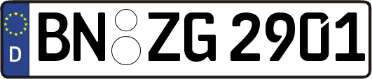 BN-ZG2901
