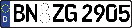 BN-ZG2905