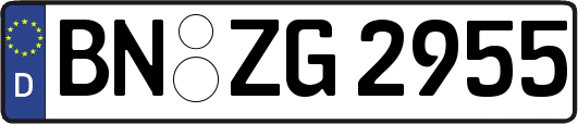 BN-ZG2955
