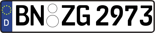BN-ZG2973
