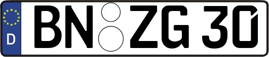 BN-ZG30