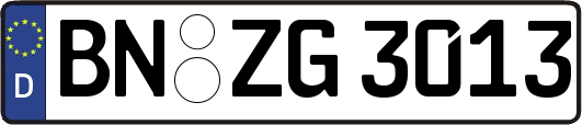 BN-ZG3013