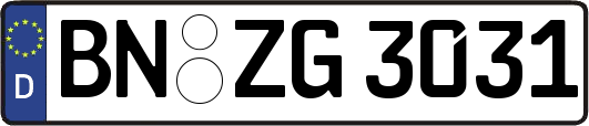 BN-ZG3031