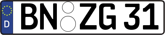 BN-ZG31