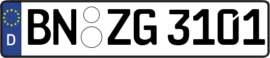 BN-ZG3101
