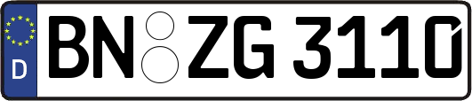 BN-ZG3110