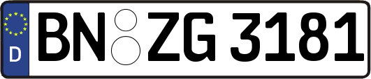 BN-ZG3181