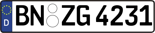 BN-ZG4231