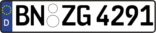 BN-ZG4291