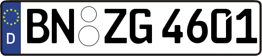 BN-ZG4601