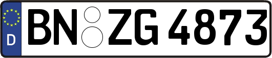 BN-ZG4873
