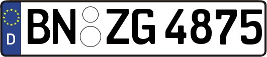 BN-ZG4875