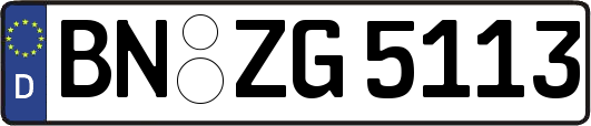 BN-ZG5113