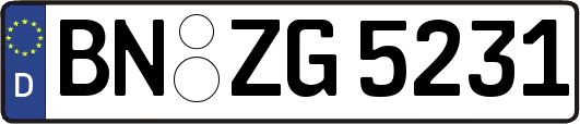 BN-ZG5231
